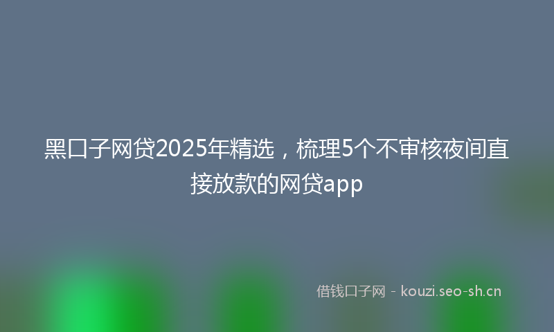 黑口子网贷2025年精选，梳理5个不审核夜间直接放款的网贷app