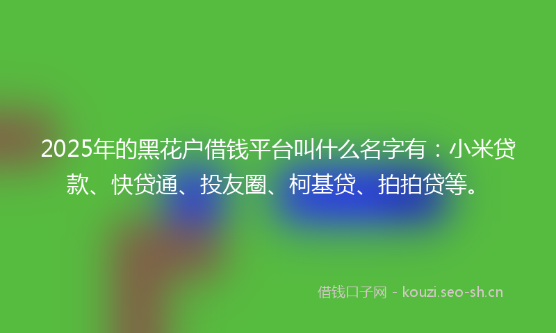 2025年的黑花户借钱平台叫什么名字有：小米贷款、快贷通、投友圈、柯基贷、拍拍贷等。