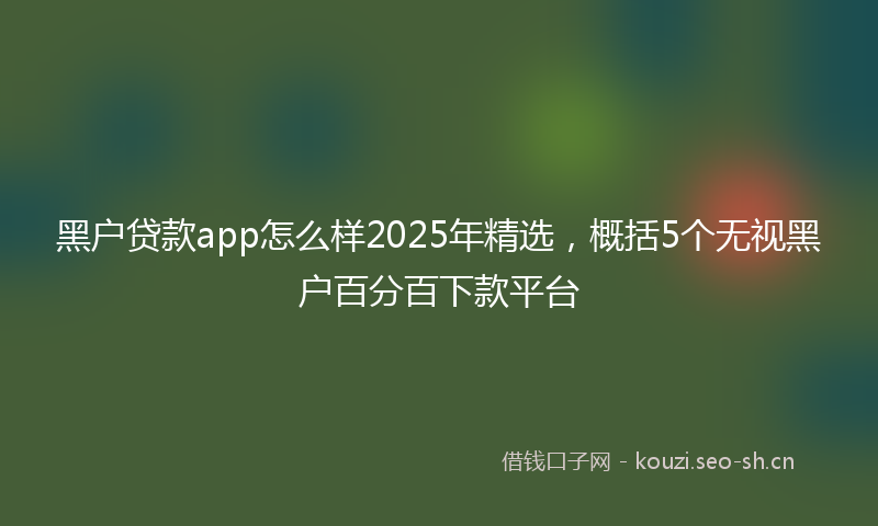 黑户贷款app怎么样2025年精选，概括5个无视黑户百分百下款平台
