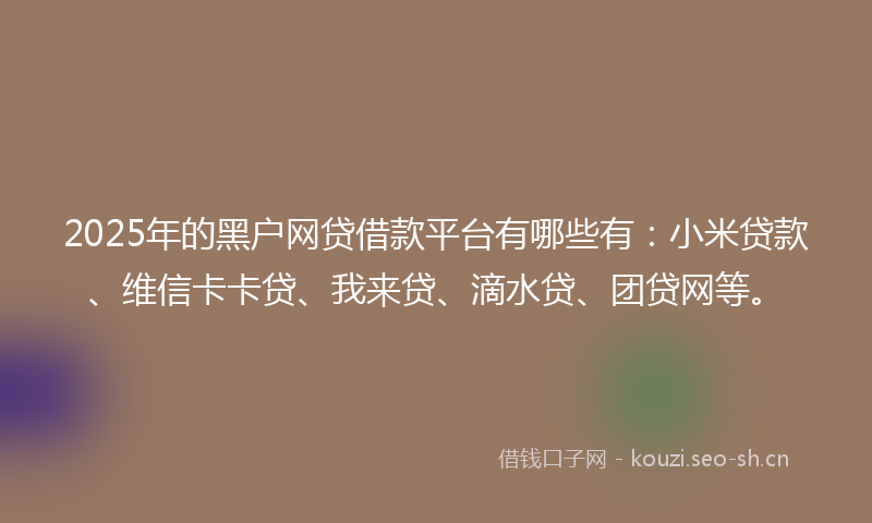 2025年的黑户网贷借款平台有哪些有:小米贷款、维信卡卡贷、我来贷、滴水贷、团贷网等。