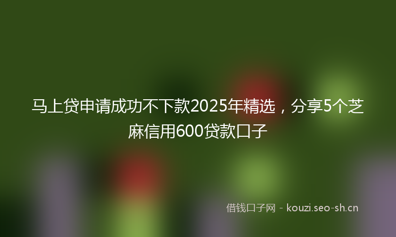 马上贷申请成功不下款2025年精选，分享5个芝麻信用600贷款口子