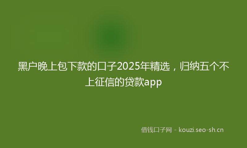黑户晚上包下款的口子2025年精选,归纳五个不上征信的贷款app