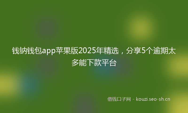 钱钠钱包app苹果版2025年精选，分享5个逾期太多能下款平台