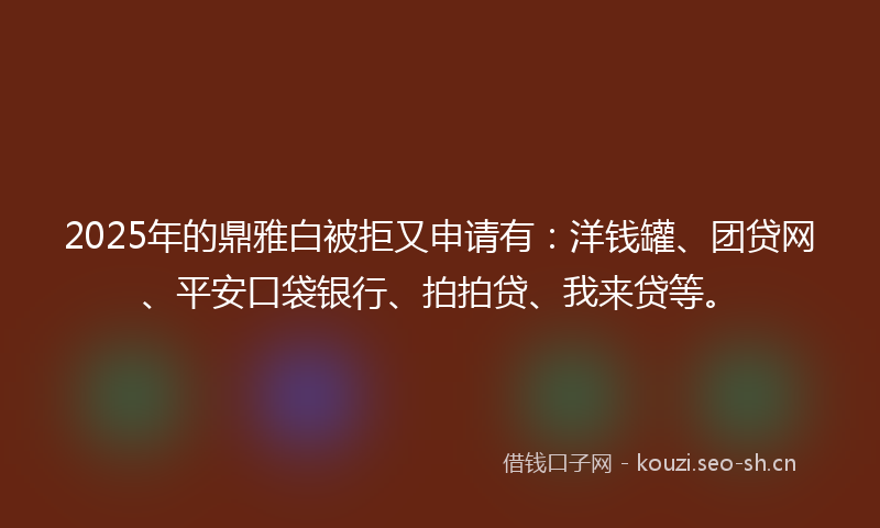 2025年的鼎雅白被拒又申请有：洋钱罐、团贷网、平安口袋银行、拍拍贷、我来贷等。