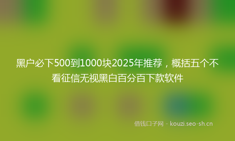 黑户必下500到1000块2025年推荐，概括五个不看征信无视黑白百分百下款软件