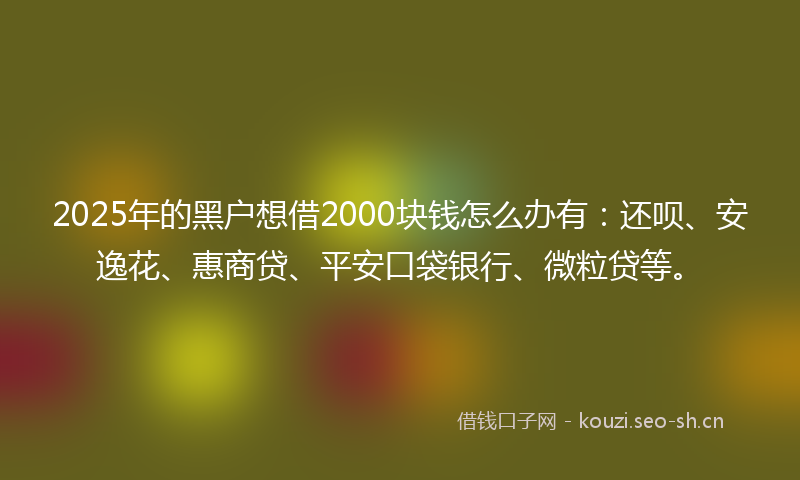 2025年的黑户想借2000块钱怎么办有：还呗、安逸花、惠商贷、平安口袋银行、微粒贷等。