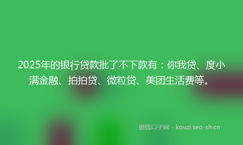 2025年的银行贷款批了不下款有：你我贷、度小满金融、拍拍贷、微粒贷、美团生活费等。