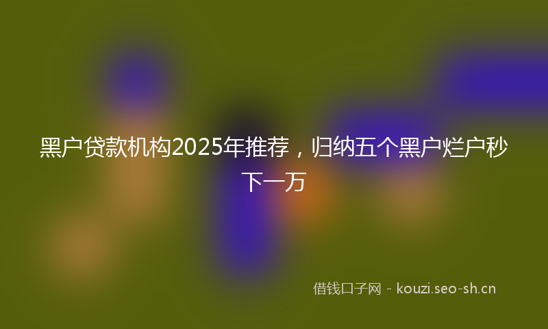 黑户贷款机构2025年推荐，归纳五个黑户烂户秒下一万
