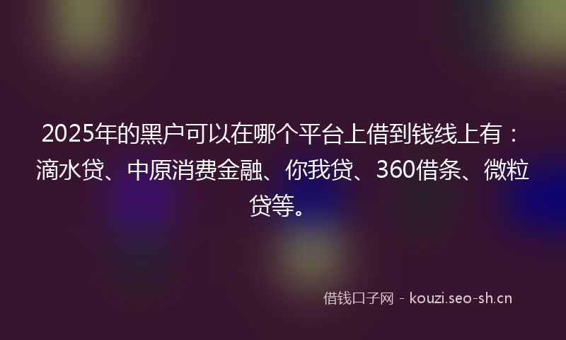 2025年的黑户可以在哪个平台上借到钱线上有：滴水贷、中原消费金融、你我贷、360借条、微粒贷等。