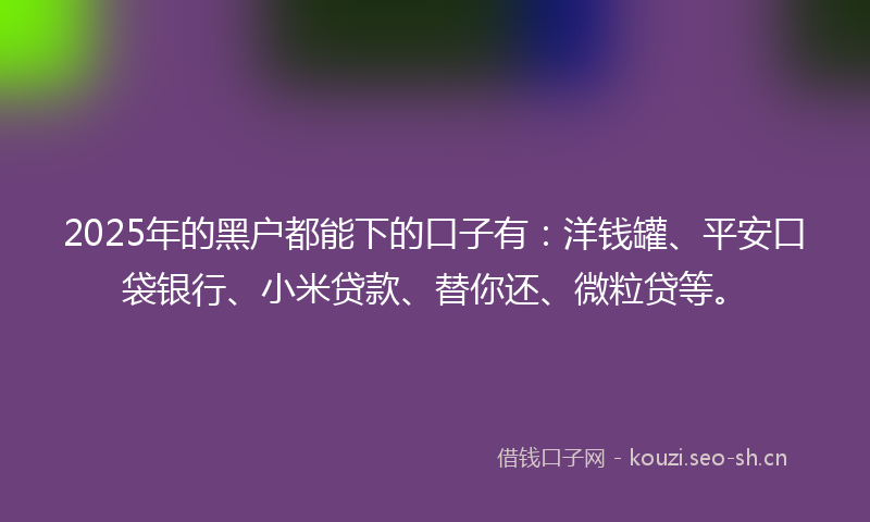 2025年的黑户都能下的口子有：洋钱罐、平安口袋银行、小米贷款、替你还、微粒贷等。
