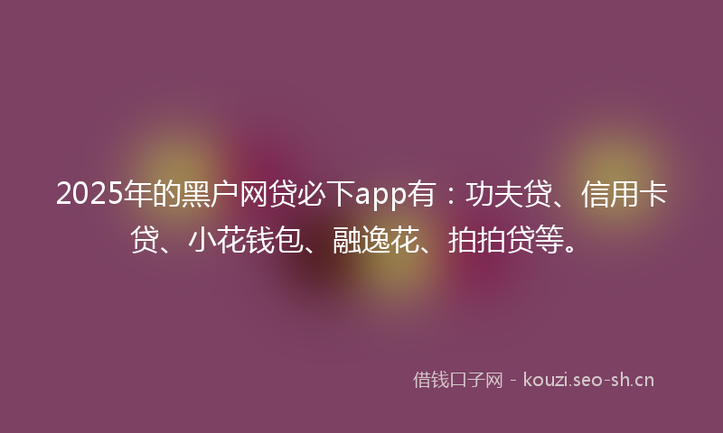 2025年的黑户网贷必下app有:功夫贷、信用卡贷、小花钱包、融逸花、拍拍贷等。