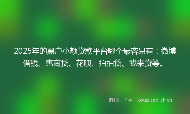 2025年的黑户小额贷款平台哪个最容易有：微博借钱、惠商贷、花呗、拍拍贷、我来贷等。