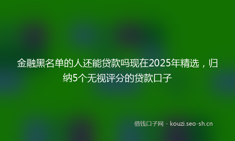 金融黑名单的人还能贷款吗现在2025年精选,归纳5个无视评分的贷款口子