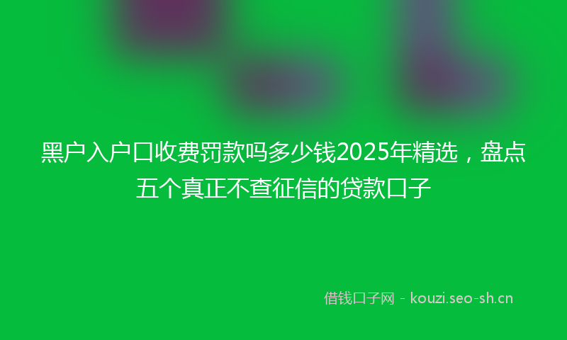 黑户入户口收费罚款吗多少钱2025年精选，盘点五个真正不查征信的贷款口子