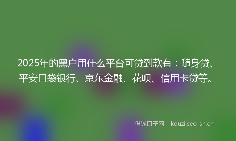 2025年的黑户用什么平台可贷到款有:随身贷、平安口袋银行、京东金融、花呗、信用卡贷等。