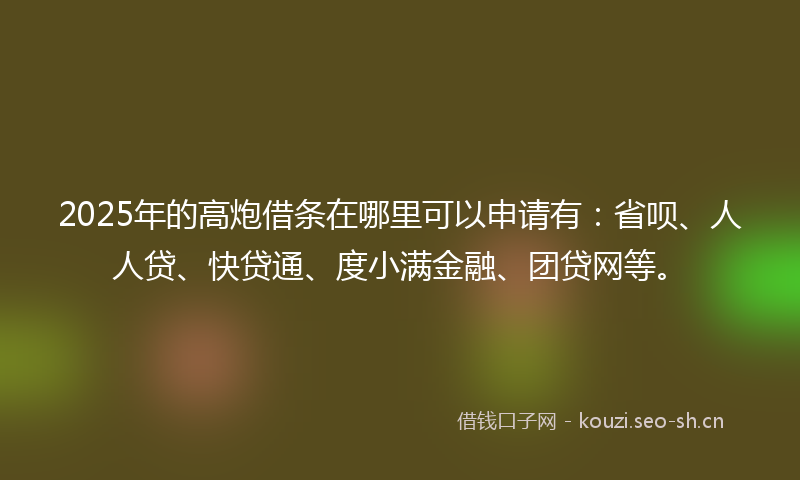 2025年的高炮借条在哪里可以申请有：省呗、人人贷、快贷通、度小满金融、团贷网等。
