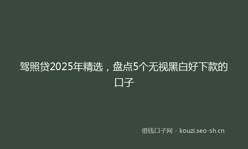 驾照贷2025年精选，盘点5个无视黑白好下款的口子