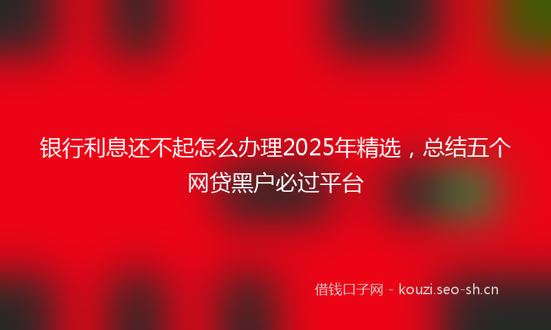 银行利息还不起怎么办理2025年精选，总结五个网贷黑户必过平台