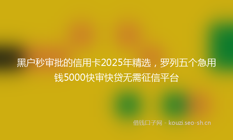 黑户秒审批的信用卡2025年精选,罗列五个急用钱5000快审快贷无需征信平台