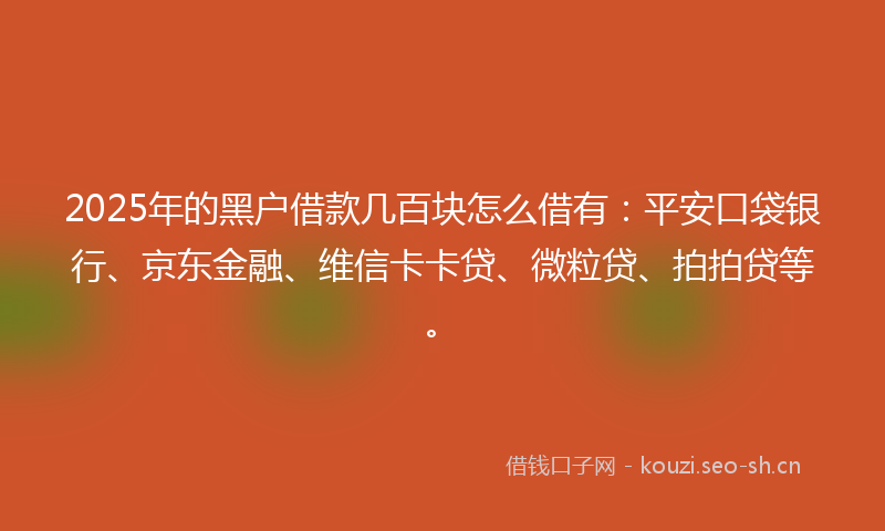 2025年的黑户借款几百块怎么借有：平安口袋银行、京东金融、维信卡卡贷、微粒贷、拍拍贷等。