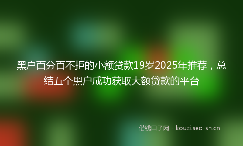 黑户百分百不拒的小额贷款19岁2025年推荐，总结五个黑户成功获取大额贷款的平台