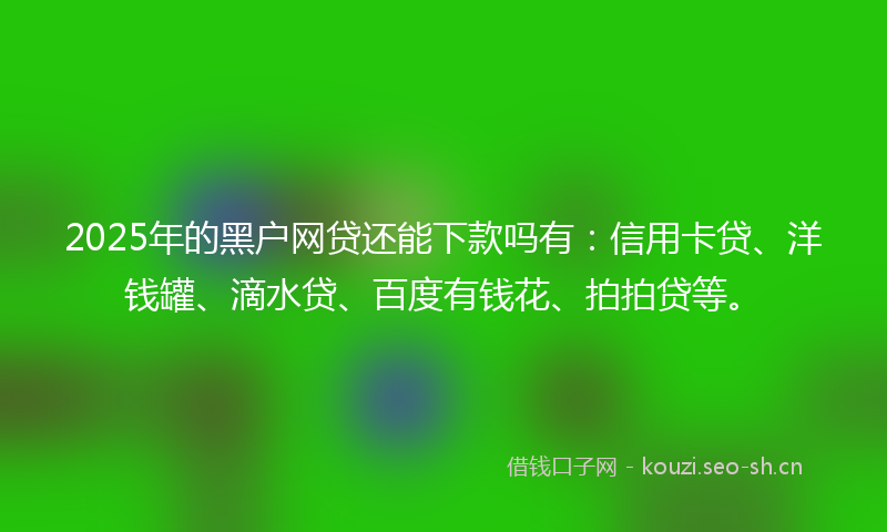 2025年的黑户网贷还能下款吗有：信用卡贷、洋钱罐、滴水贷、百度有钱花、拍拍贷等。