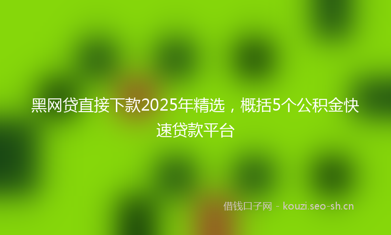 黑网贷直接下款2025年精选,概括5个公积金快速贷款平台