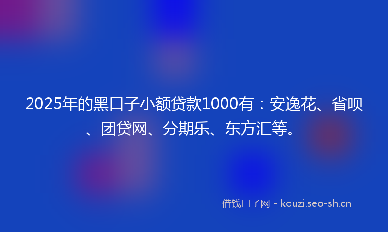 2025年的黑口子小额贷款1000有：安逸花、省呗、团贷网、分期乐、东方汇等。