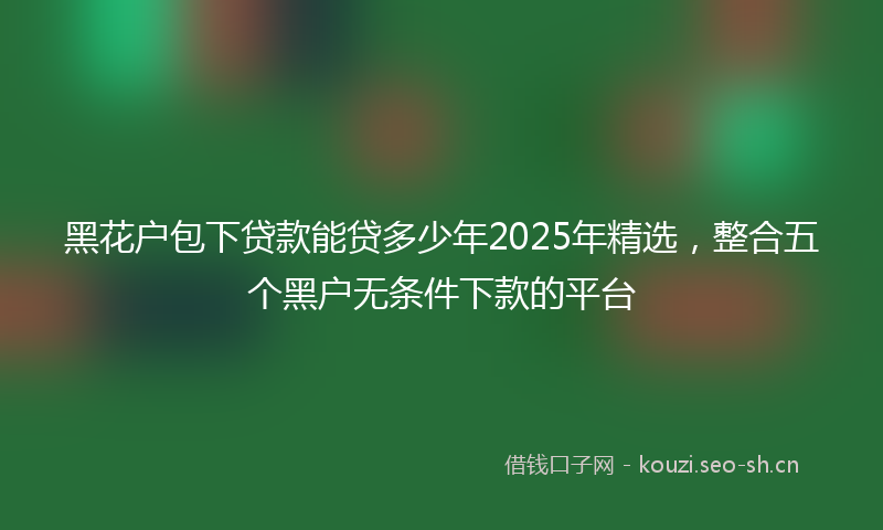 黑花户包下贷款能贷多少年2025年精选，整合五个黑户无条件下款的平台