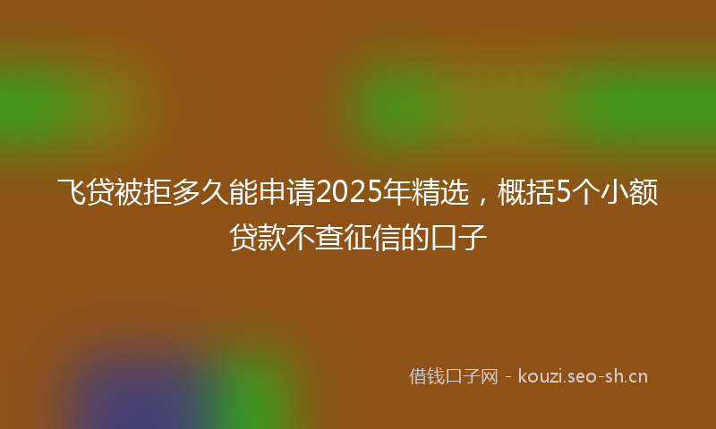 飞贷被拒多久能申请2025年精选，概括5个小额贷款不查征信的口子