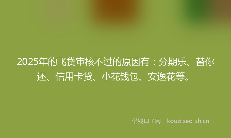 2025年的飞贷审核不过的原因有：分期乐、替你还、信用卡贷、小花钱包、安逸花等。