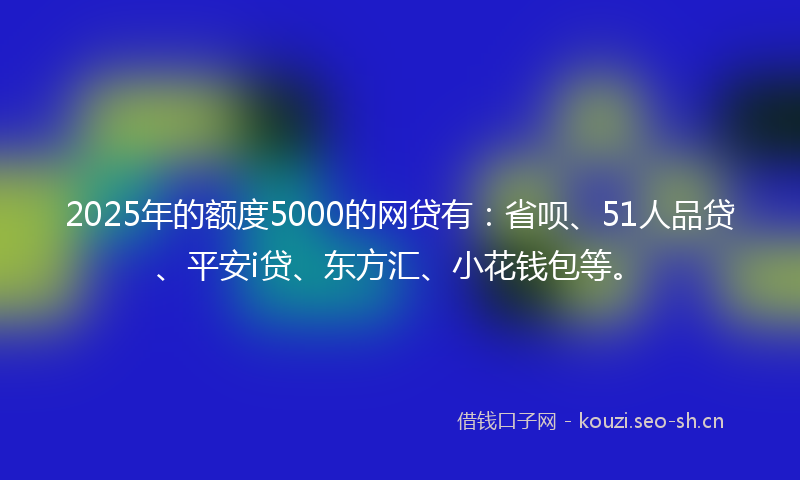 2025年的额度5000的网贷有：省呗、51人品贷、平安i贷、东方汇、小花钱包等。