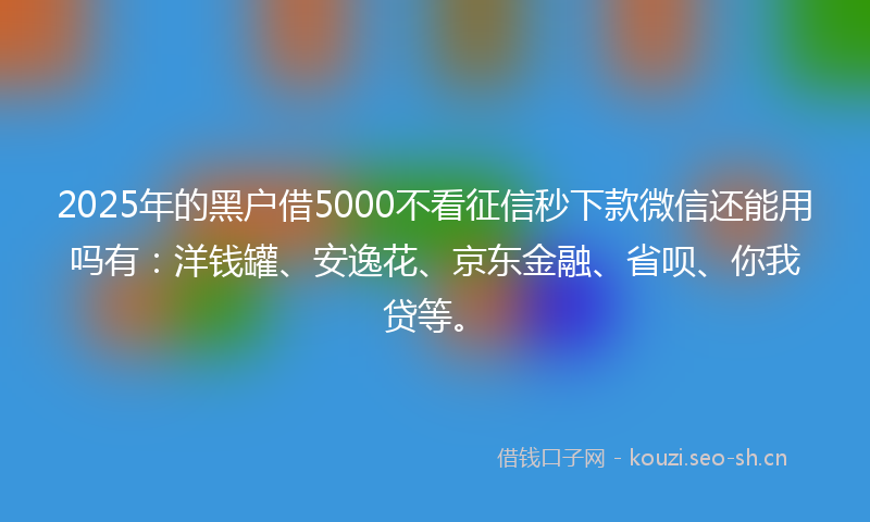 2025年的黑户借5000不看征信秒下款微信还能用吗有:洋钱罐、安逸花、京东金融、省呗、你我贷等。