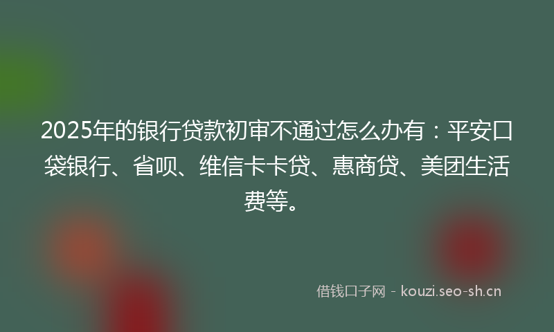 2025年的银行贷款初审不通过怎么办有：平安口袋银行、省呗、维信卡卡贷、惠商贷、美团生活费等。