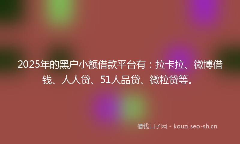 2025年的黑户小额借款平台有：拉卡拉、微博借钱、人人贷、51人品贷、微粒贷等。