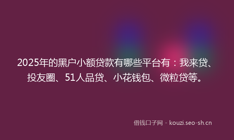 2025年的黑户小额贷款有哪些平台有：我来贷、投友圈、51人品贷、小花钱包、微粒贷等。
