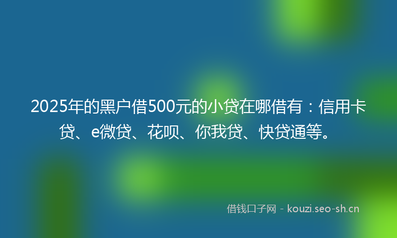 2025年的黑户借500元的小贷在哪借有:信用卡贷、e微贷、花呗、你我贷、快贷通等。