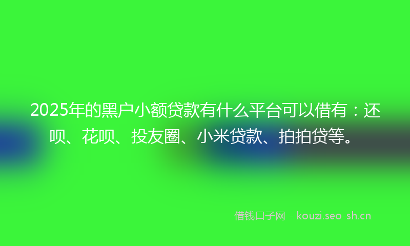 2025年的黑户小额贷款有什么平台可以借有：还呗、花呗、投友圈、小米贷款、拍拍贷等。
