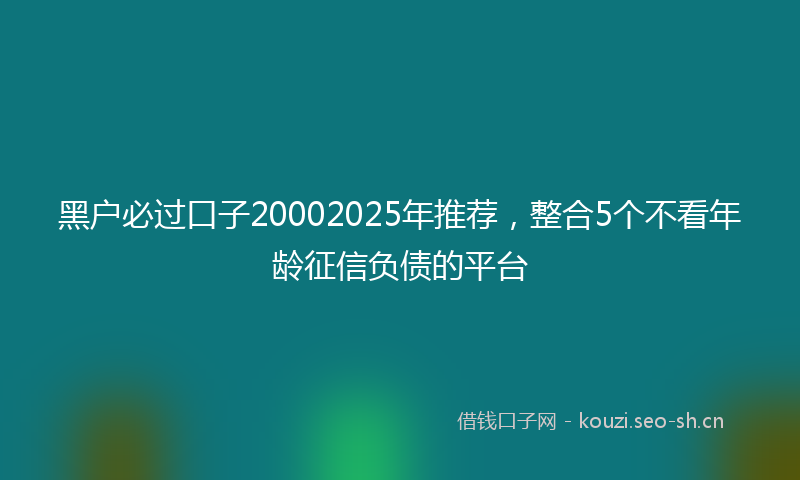 黑户必过口子20002025年推荐，整合5个不看年龄征信负债的平台