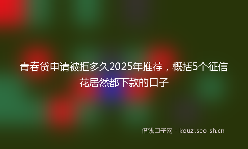青春贷申请被拒多久2025年推荐，概括5个征信花居然都下款的口子