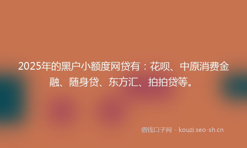 2025年的黑户小额度网贷有：花呗、中原消费金融、随身贷、东方汇、拍拍贷等。