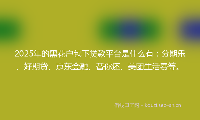 2025年的黑花户包下贷款平台是什么有：分期乐、好期贷、京东金融、替你还、美团生活费等。