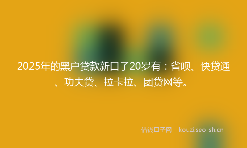 2025年的黑户贷款新口子20岁有：省呗、快贷通、功夫贷、拉卡拉、团贷网等。
