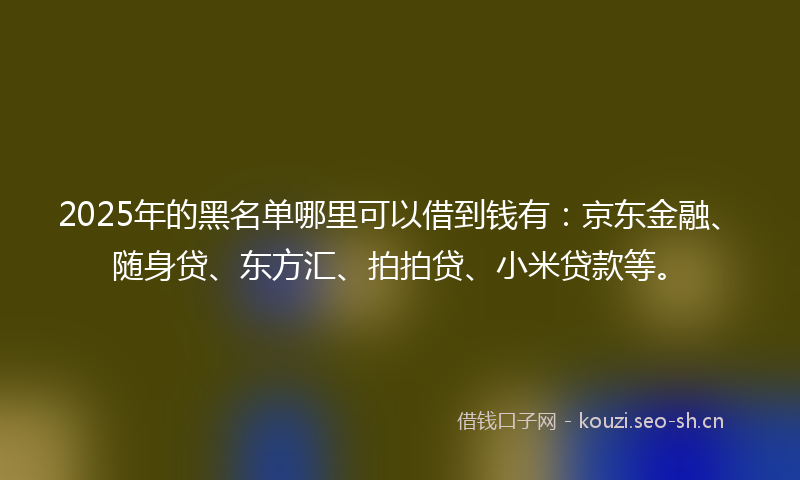 2025年的黑名单哪里可以借到钱有：京东金融、随身贷、东方汇、拍拍贷、小米贷款等。