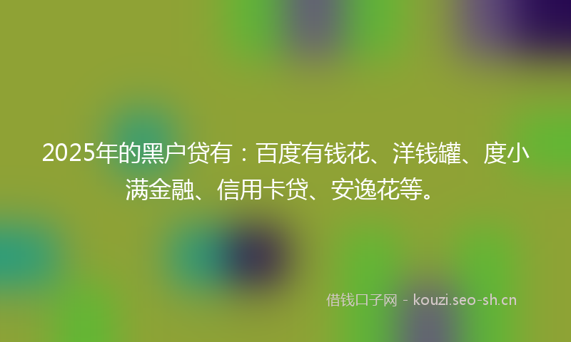 2025年的黑户贷有：百度有钱花、洋钱罐、度小满金融、信用卡贷、安逸花等。