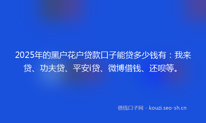 2025年的黑户花户贷款口子能贷多少钱有：我来贷、功夫贷、平安i贷、微博借钱、还呗等。