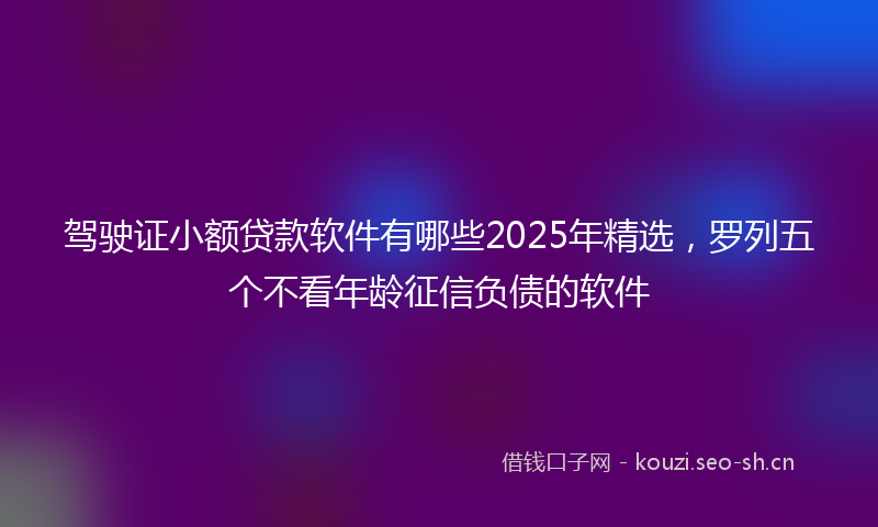 驾驶证小额贷款软件有哪些2025年精选，罗列五个不看年龄征信负债的软件
