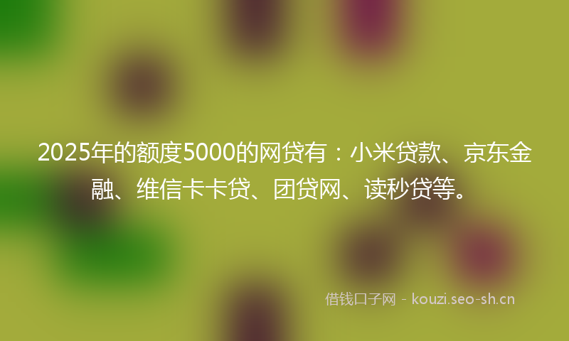 2025年的额度5000的网贷有：小米贷款、京东金融、维信卡卡贷、团贷网、读秒贷等。