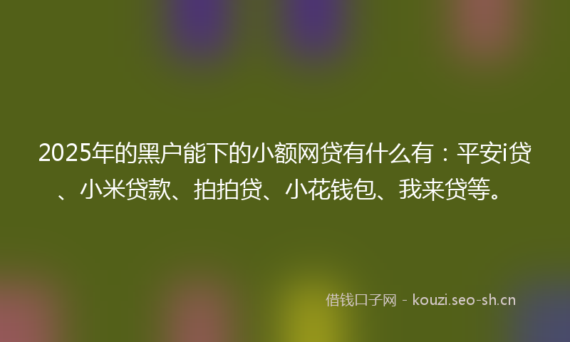 2025年的黑户能下的小额网贷有什么有：平安i贷、小米贷款、拍拍贷、小花钱包、我来贷等。