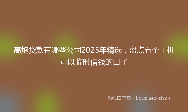 高炮贷款有哪些公司2025年精选,盘点五个手机可以临时借钱的口子
